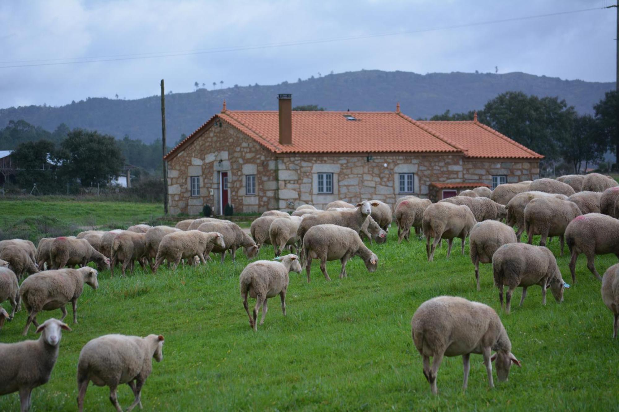 Turismo Rural 4Quintas Minhocal Exterior foto